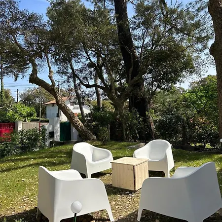Basacha * Soorts-Hossegor